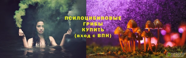 apvp Горняк