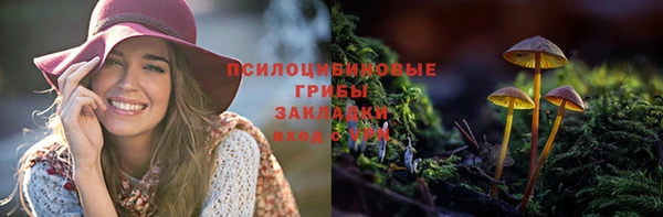 apvp Горняк