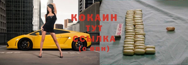 apvp Горняк