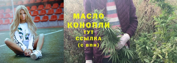 apvp Горняк