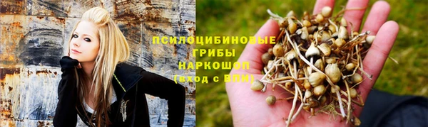 МДМА Горнозаводск