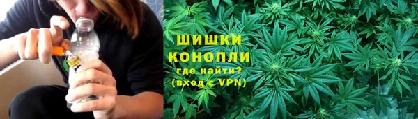 apvp Горняк