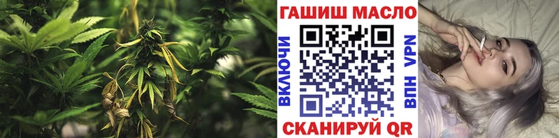 Купить закладки  Долгопрудный  ТГК вейп с тгк 